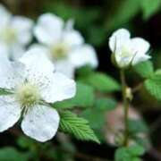 ヒメ日記 2026/03/04 07:02 投稿 あゆ 梅田アバンチュール