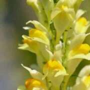 ヒメ日記 2026/03/05 18:12 投稿 あゆ 梅田アバンチュール