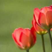 ヒメ日記 2026/03/06 07:12 投稿 あゆ 梅田アバンチュール