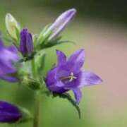 あゆ ☆おはようございます☆ 梅田アバンチュール