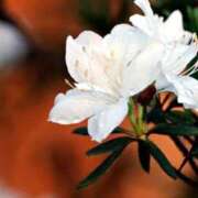 あゆ ☆おはようございます☆ 梅田アバンチュール