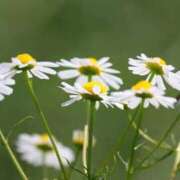 ヒメ日記 2026/03/14 07:04 投稿 あゆ 梅田アバンチュール