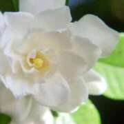 ヒメ日記 2026/03/16 07:12 投稿 あゆ 梅田アバンチュール