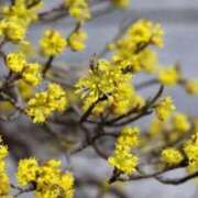 ヒメ日記 2026/03/17 06:52 投稿 あゆ 梅田アバンチュール