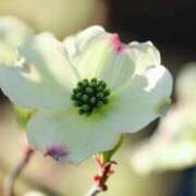 ヒメ日記 2026/03/18 07:02 投稿 あゆ 梅田アバンチュール