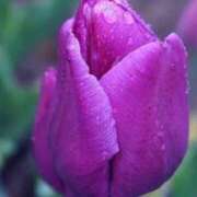 ヒメ日記 2026/03/20 05:22 投稿 あゆ 梅田アバンチュール