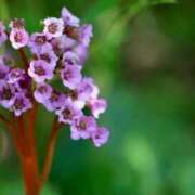 ヒメ日記 2026/03/23 06:42 投稿 あゆ 梅田アバンチュール