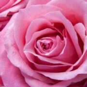 ヒメ日記 2026/03/26 06:42 投稿 あゆ 梅田アバンチュール