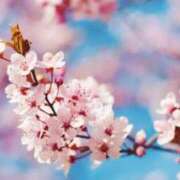 ヒメ日記 2026/03/28 07:52 投稿 あゆ 梅田アバンチュール