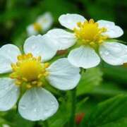 ヒメ日記 2026/03/29 05:22 投稿 あゆ 梅田アバンチュール