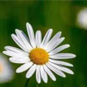 ヒメ日記 2026/04/01 07:12 投稿 あゆ 梅田アバンチュール