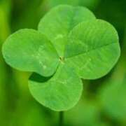 ヒメ日記 2026/04/02 07:17 投稿 あゆ 梅田アバンチュール