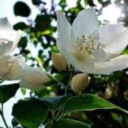 ヒメ日記 2026/04/03 08:23 投稿 あゆ 梅田アバンチュール