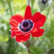 ヒメ日記 2026/04/04 05:12 投稿 あゆ 梅田アバンチュール