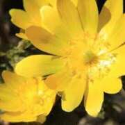 ヒメ日記 2026/04/06 05:17 投稿 あゆ 梅田アバンチュール