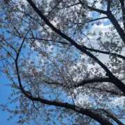 ヒメ日記 2026/04/06 19:22 投稿 あゆ 梅田アバンチュール