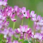 ヒメ日記 2026/04/08 05:32 投稿 あゆ 梅田アバンチュール