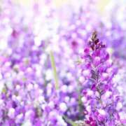 ヒメ日記 2026/04/10 06:32 投稿 あゆ 梅田アバンチュール