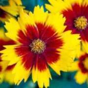 ヒメ日記 2026/04/13 05:12 投稿 あゆ 梅田アバンチュール