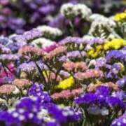 ヒメ日記 2026/04/18 06:02 投稿 あゆ 梅田アバンチュール