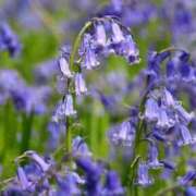 あゆ ☆おはようございます☆ 梅田アバンチュール