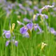 あゆ ☆おはようございます☆ 梅田アバンチュール