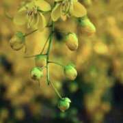 あゆ ☆おはようございます☆ 梅田アバンチュール