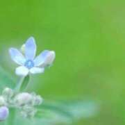ヒメ日記 2026/06/14 06:12 投稿 あゆ 梅田アバンチュール