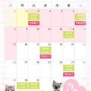 ヒメ日記 2026/03/02 15:08 投稿 すずか 横浜人妻セレブリティ（ユメオト）