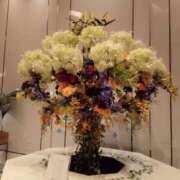 ヒメ日記 2026/03/27 11:29 投稿 すずか 横浜人妻セレブリティ（ユメオト）