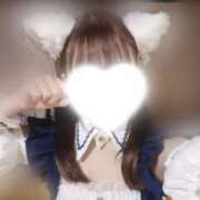 ヒメ日記 2025/08/17 08:25 投稿 しおん しゃぼんくらぶ一番館