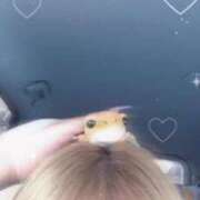 ヒメ日記 2025/07/24 08:03 投稿 あい 久喜鷲宮ちゃんこ