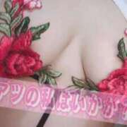 ヒメ日記 2025/08/21 13:41 投稿 あい 久喜鷲宮ちゃんこ