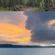 ヒメ日記 2025/07/15 19:46 投稿 いろは SAPPORO ばつぐんnet