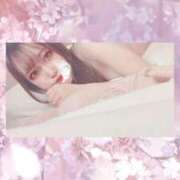 ヒメ日記 2025/09/04 20:16 投稿 いろは SAPPORO ばつぐんnet