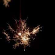 ヒメ日記 2025/09/28 22:41 投稿 いろは SAPPORO ばつぐんnet