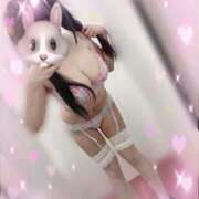 ヒメ日記 2025/09/18 03:03 投稿 このか サンキュー沼津店（サンキューグループ）