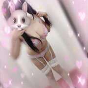 ヒメ日記 2026/04/04 19:56 投稿 このか サンキュー沼津店（サンキューグループ）