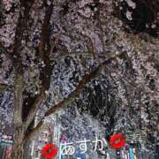 ヒメ日記 2026/03/27 07:23 投稿 あすか 脱がされたい人妻 宇都宮店