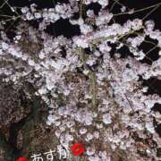 ヒメ日記 2026/04/01 07:31 投稿 あすか 脱がされたい人妻 宇都宮店