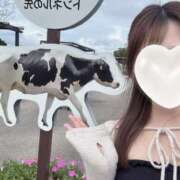 ヒメ日記 2025/09/23 20:06 投稿 Kokoa THE RICH