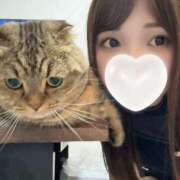 Kokoa ??お久しぶりです THE RICH