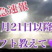 ヒメ日記 2023/11/13 22:01 投稿 れい 愛知豊田みよしちゃんこ