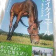 ヒメ日記 2024/08/03 08:49 投稿 もも 香川高松ちゃんこ