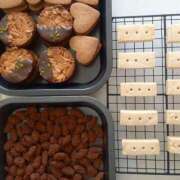 ヒメ日記 2025/02/15 08:44 投稿 もも 香川高松ちゃんこ