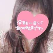 ヒメ日記 2025/03/15 16:49 投稿 もも 香川高松ちゃんこ