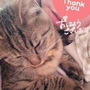 ヒメ日記 2025/04/07 09:39 投稿 もも 香川高松ちゃんこ