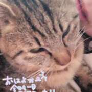 ヒメ日記 2025/04/18 10:59 投稿 もも 香川高松ちゃんこ