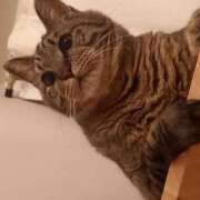 ヒメ日記 2025/05/17 00:31 投稿 もも 香川高松ちゃんこ