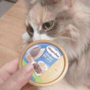 ヒメ日記 2025/06/25 06:49 投稿 もも 香川高松ちゃんこ